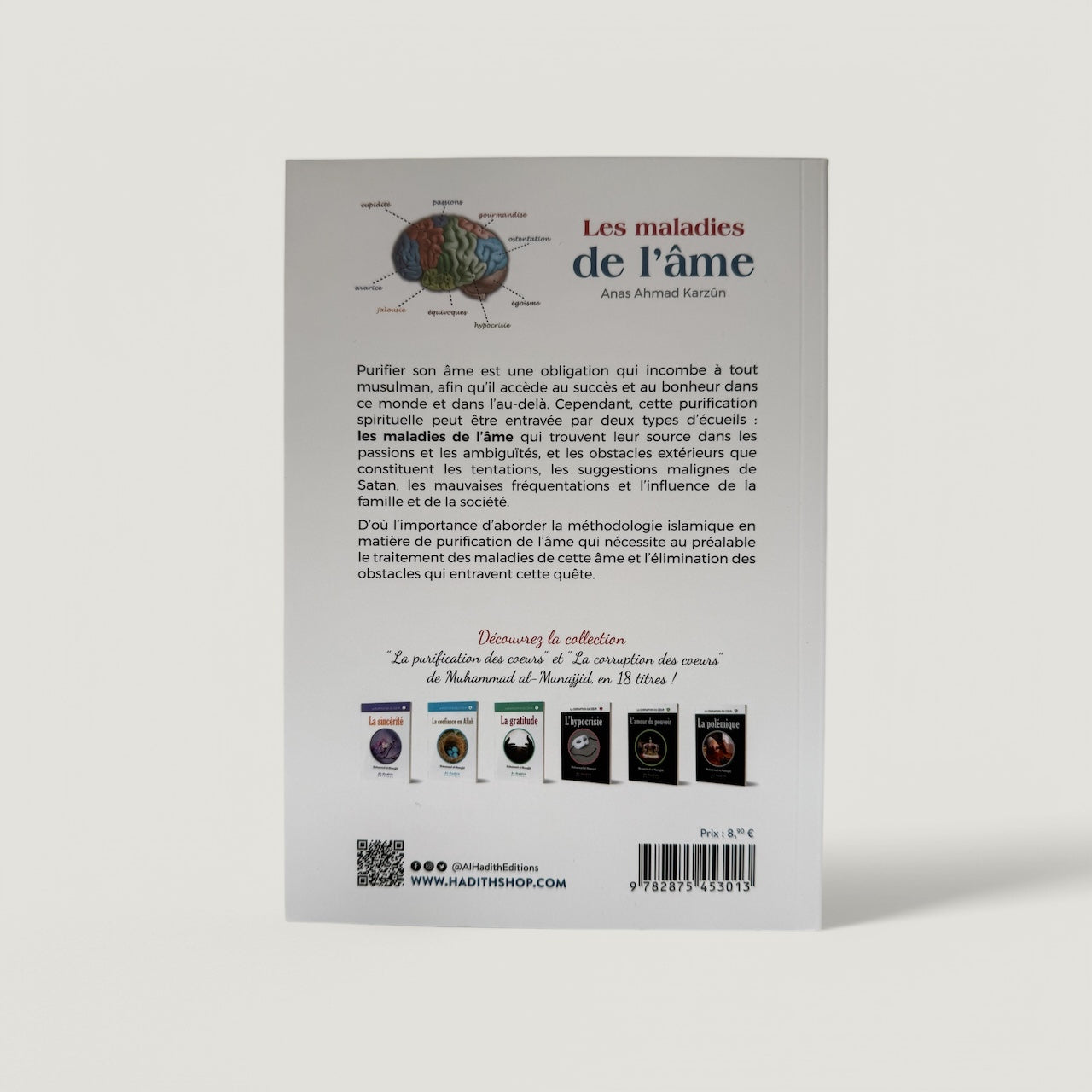 Les maladies de l’âme